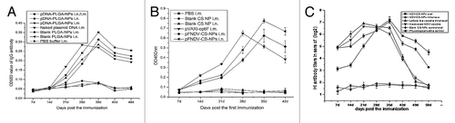 Figure 3. IgG antibody titers in immune SPF chickens. (A) IgG antibody titers in serum of SPF chickens immunized with PBS (IM), blank PLGA-NPs (IM), blank PLGA-NPs (IN), and the naked plasmid DNA (IM), pFNDV-PLGA-NPs (IM), pFNDV-PLGA-NPs (IN) or pFNDV-PLGA-NPs (IM/IN); (B) IgG antibody titers in serum of SPF chickens immunized with PBS (IM), blank CS-NP (IM), blank CS-NP (IN), and the naked plasmid DNA (IM), pFNDV-CS-NPs (IM), pFNDV-CS-NPs (IN); (C) IgG antibody titers in serum of SPF chickens immunized with NDV-CS-NPs orally, NDV-CS-NPs intranasally, LaSota live vaccine intranasally, inactivated NDV vaccines, blank CS-NPs control, and physiological saline by oral route. Abbreviations: CS, chitosan; NDV, Newcastle disease virus; IM, intramuscularly; IN, intranasally; PBS, phosphate buffered saline; pFNDV-PLGA-NPs, the F gene of Newcastle disease virus encapsulated in PLGA nanoparticles; pFNDV-CS-NPs, Newcastle disease virus F gene encapsulated in chitosan nanoparticles; HN, hemagglutinin-neuraminidase protein; F, fusionprotein; P, phosphoprotein; M, matrix protein.
