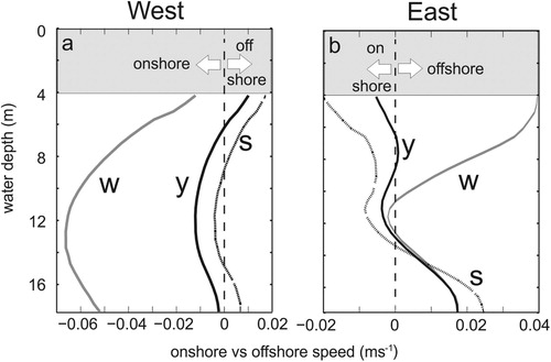 Figure 6. Residual currents from the Hauraki RoFI (O’Callaghan and Stevens Citation2017 – reproduction courtesy of the authors) in the onshore (negative) to offshore (positive) direction for 12-months of ADCP observations (‘y’, thick black line) and for a 38-day period in summer (‘s’, dotted line) and winter (‘w’, thick grey line). Panel (a) is on the eastern margin of the Firth of Thames and closer to the main riverine source, and (b) is on the western side of the region and more exposed to ocean conditions.