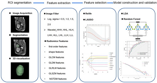 Figure 2. Flowchart of radiomics analysis.