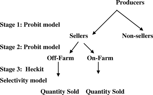 Figure 1. Graphic illustration of the three-tiered market participation model.