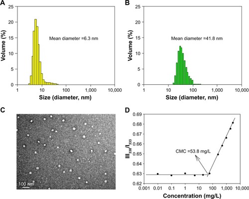Figure 2 The particle size distributions of the polyphosphazene carrier polymer [NP(MPEG550)3(Lys-OEt)]n (A) and its DTX conjugate Polytaxel (B), as well as the TEM image of Polytaxel in aqueous solution (C) and the CMC value measured by the pyrene fluorescence method (D).Abbreviations: CMC, critical micelle concentration; DTX, docetaxel; III338/I333, ratio of fluorescence intensities measured at 338 nm and 333 nm; Lys-OEt, lysine ethylester; MPEG, methoxy poly(ethylene glycol); NP, polyphosphazene backbone; TEM, transmission electron microscopy.