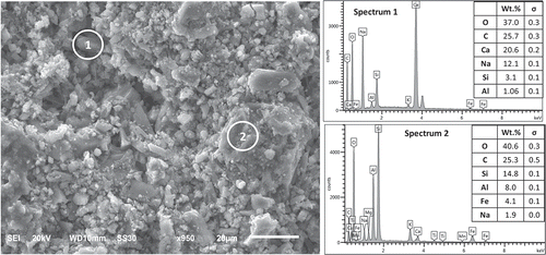 Figure 7. SEM image and EDS spectra for C&D waste brick-based cement paste.