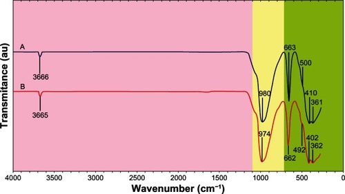 Figure 7 Fourier transform infrared spectra of (A) talc and (B) talc/magnetite nanocomposites.