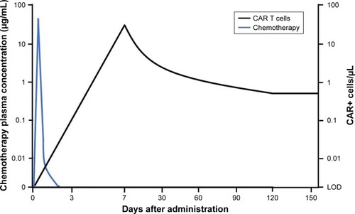 Figure 1 Comparative serum concentrations of chemotherapy and CAR T-cell expansion.