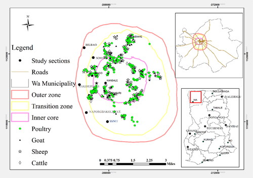 Figure 4. Spatial distribution of type of animals reared in urban farming. Source: Field Work, 2023.