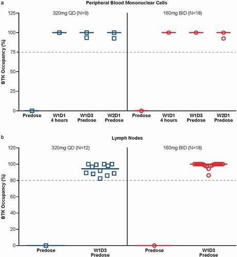 Figure 4. (A) Zanubrutinib BTK occupancy in peripheral blood mononuclear cells by dose regimen. (B) Zanubrutinib BTK occupancy in lymph nodes by dose regimen. Median values are shown as lines through the individual symbols. BID twice a day, BTK Bruton’s tyrosine kinase, N number of patients, QD once a day, W1D1 Week 1 Day 1, W1D3, Week 1 Day 3, W2D1 Week 2 Day 1 [Citation11]. Predose samples were collected 24 hours after dosing for the QD dose or 12 hr after dosing for the BID dose. Samples were collected 4 hours after dose for ‘W1D1 4 hours’ samples. Republished in part with permission of Elsevier Science & Technology Journals, from Tam CSL, Trotman J, Opat S, et al. Phase 1 study of selective BTK inhibitor zanubrutinib in B-cell malignancies and safety and efficacy evaluation in CLL. Blood. 2019;134(11):851–859; permission conveyed through Copyright Clearance Center, Inc