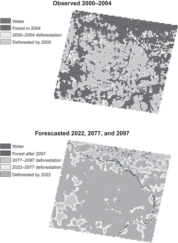 Figure 6. Observed and forecasted forest cover and edge pattern of deforestation, 2000–2097, Alta Floresta, Mato Grosso. Similar edge effects are observed and forecasted. In the 2000–2004 period, deforestation occurred on the edges and filled small gaps (south of the Teles Pires) and large gaps (north of the river). As a result, clumpiness increased largely, and the non-forest was almost completely connected. Islands of deforestation with no connection to even small previous deforestation patches were very few. Therefore, when the forecasting starts, gaps are not available to be filled, and only edge effects take place. The number of forest fragments decreases, until it rises again, as fragments become small and sparse.