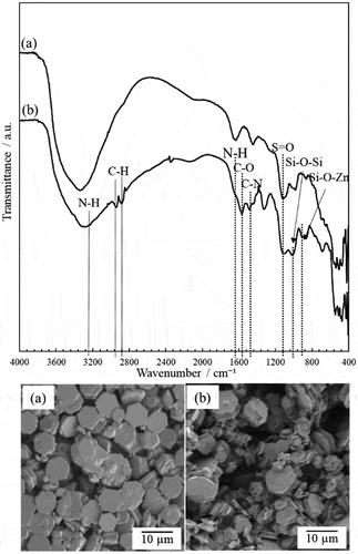 Figure 1. FT-IR spectra and SEM images of the ZnO particles before (a) and after (b) surface treatment by APTES.