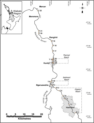 Figure 1 Location of sampling transects (T1–T22) where benthic and littoral sampling was conducted around three stressor types on the Waikato River. The lower river (T17–T22) transects were sampled only in autumn.