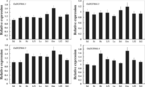 Figure 1. Real-time PCR analysis of OsDUF866 gene family members in rice Nipponbare in different tissues: Sd, one-week-old seedlings; St, shoot at the four-leaf stage; Rt, root at the four-leaf stage; Lf1, leaf from plants with four tillers; Ls, leaf sheath from plants with four tillers; St1, stem from plants with four tillers; Em, embryo 14 days after flowering; Lf2, leaf at 14 days after flowering; St2, stem at 14 days after flowering.