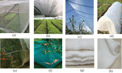 Figure 2. Synthetic fibers and regenerated fibers in agrotextiles: (a) Insect mesh - Nylon and PP (source: Azam and Ahmad 2020); (b) Shade net - Nylon, PP (source: Azam and Ahmad 2020); (c) Anti-hailstone net – PE (source: Azam and Ahmad 2020); (d) Frost control fabric – PP (Mason 2022); (e) Bird protection net - Nylon, PE, PP (Chowdhury, Nasrin, and Md Citation2017); (f) Harvesting net – PE (Hossain 2021); (g) Nonwoven mulch- Viscose (Kopitar et al. Citation2022); (h) Nonwoven mulch- PLA (Kopitar et al. Citation2022).