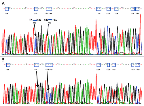 Figure 3. Representative results of the sequencing of CpG dinucleotides at the positions -796, -771, -769, -739, -733, -728, -719, -716 in the 5' untranslated promoter region of the CALCA gene in preterm neonates with bacterial sepsis and birth weight and age matched controls respectively.(A) A -771 C:G > T:A; 5′de novo -778 CpG mutation on both alleles in EOS (day 3). (B) A total methylation of CpG at position -771 and a demethylation at position -778 in birth weight and age matched control