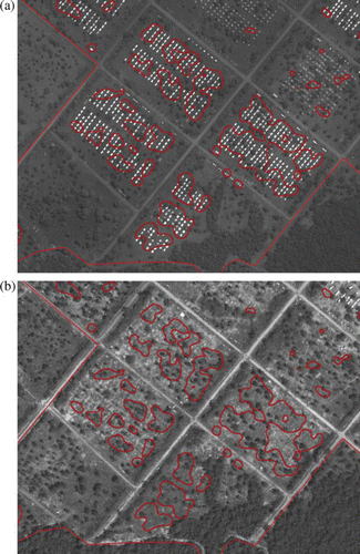 Figure 11.  Menik Farm – Zone 4. Example of the disappearance of the structures detected correctly: pre-image (left) and post-image (right). WorldView-1 imagery © Digitalglobe 2009 and GeoEye-1 imagery © GeoEye 2010, both distributed by e-GEOS.