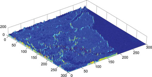 Figure 6. Topography of the gradient image of the study area.