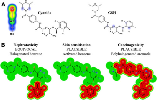 Figure 3 Outcomes of in silico reactivity tool expectation by the Xenosite including Cyanide and GSH (A). Structural alerts of ESB as proposed by DEREK toxicity predictor software (B).