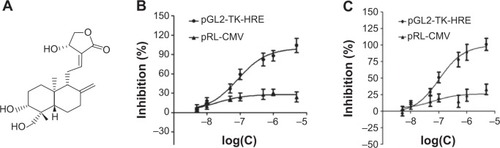 Figure 1 Andro specifically inhibited HIF-1 in T47D and MDA-MB-231 cells.