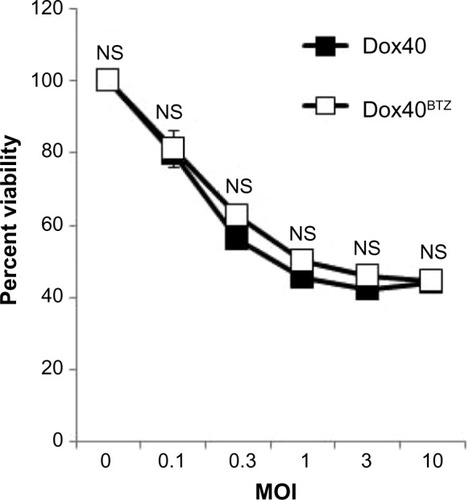 Figure 1 MYXV eliminates bortezomib-resistant human MM cells. Dox40 or Dox40BTZ cells were infected with MYXV at the indicated MOIs. After 24 hours, cellular viability was measured using the MTT assay. No significant differences in the killing of Dox40 or Dox40BTZ were observed.