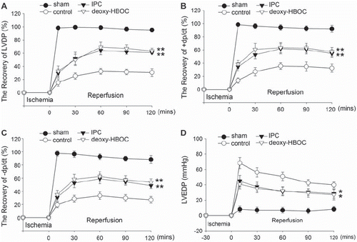 Figure 2. The cardiac function recovery of LVDP (A), ±dp/dt (B and C) and LVEDP (D) of the 4 group hearts. Values were presented as mean ± SEM (n=10). *P < 0.05 and **P < 0.01 vs. the control group. LVDP: left ventricular development pressure, ±dp/dt: maximum LVDP increase and decrease rate, LVEDP: left ventricular end-diastolic pressure.