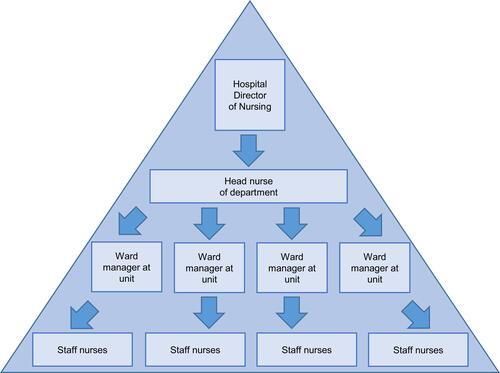 Figure 1 The nursing leadership hierarchy at the hospital.