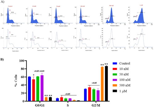 Figure 14. Effect of compound 14 on cell cycle proteins regulating G2/M progression at indicated concentrations. Statistical significance is represented as follows: ns - non-significant, *p < 0.05, ** p < 0.01.