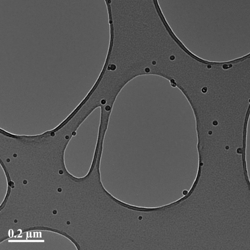 FIG. 3 TEM micrograph of K2SO4 particles from conditions corresponding to case 12 in Table 1.