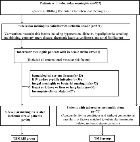 Figure 1 Flowchart of the screening of patients with tubercular meningitis-related Ischemic stroke.