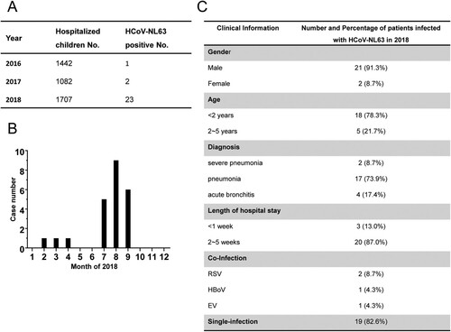 Figure 1. Identification of a cluster of patients with severe lower respiratory disease caused by HCoV-NL63. (A) Prevalence of HCoV-NL63 by year in the pediatric inpatient surveillance study at the First Affiliated Hospital of Guangzhou Medical University. (B) Case number of HCoV-NL63 infection by month in the pediatric inpatient surveillance study in 2018. (C) Clinical information of the HCoV-NL63 positive inpatients in 2018.
