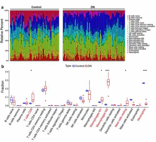 Figure 3. Assessment of immune infiltration. (a) Bar plot displays the proportion of infiltrated immune cells between DN and control groups. (b) box plot for difference immune cell infiltration between DN and normal samples (Wilcoxon’s test; *, p < 0.05; ***, p < 0.001). The horizontal coordinate represents the variety of infiltrated immune cells, and the vertical axis represents the fraction of infiltrated immune cell. DN, diabetic nephropathy