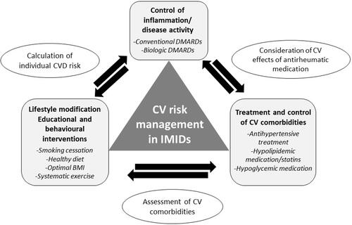 Figure 2 The three pillars of cardiovascular disease (CVD) risk management in patients with IMIDs: 1) effective control of inflammation, 2) lifestyle modifications targeting at modifiable CVD risk factors, and 3) simultaneous control of cardiovascular comorbidities. Positive interactions between these interventions are expected not only towards modulation of CVD risk, but also towards substantial improvement of patients’ general health and well-being. At the same time, individual CVD risk needs to be determined and regularly reassessed according to the presence of cardiovascular comorbidities, the current and cumulative inflammatory load, and the cardiovascular effects of antirheumatic medication.