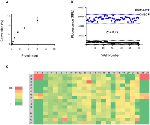 Figure 2. (A) Percentage of substrate conversion obtained using different amounts of AC (measured as μg of total protein). (B) Determination of the Z’-factor (Z’) of the AC assay in the 384-well plate format. Solid black squares and solid blue circles represent negative (without protein) and positive reaction, respectively. (C) Representative results for one 384-well plate. Each plate contained 8 negative controls, 16 positive controls and 8 samples with the known AC inhibitor SOCLAC. A colour gradient heat map, with red to green colours indicating high to low percentage of inhibition has been applied to the well values.