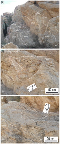 Figure 7. Terraced slope travertine lithofacies association. (A) Discernible pools of terraced slope system with rims and walls oriented to the south-east and overlain by discharged coarse terrigenous materials. (B) and (C) Details of (A) showing the architecture of the travertine and the alluvial deposits.