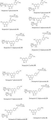Figure 4. Structures of main hesperetin and naringenin metabolites. Compounds detected in plasma/urine after consuming orange juice, based on data of Pereira-Caro et al. (Citation2014, Citation2016).
