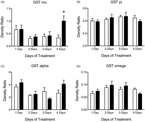 Figure 2. Histogram depicting density ratio to beta actin levels of liver GST isoform proteins (A) GST mu, (B) GST pi, (C) GST alpha and (D) GST omega levels after 1, 2, 3 and 4 days of treatment with vehicle (white bars) or 100 mg/kg (black bars) of ATR. Data are presented as mean ± SEM; *significant difference (p < 0.05) versus corresponding control.