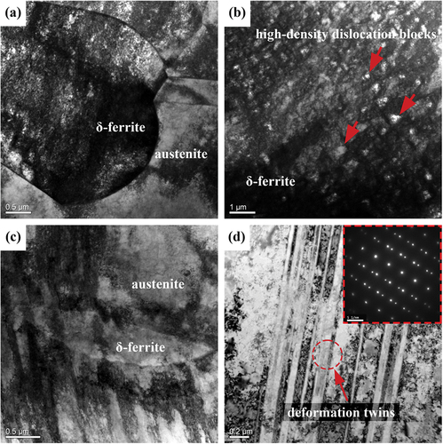 Figure 15. TEM morphology at a deformation level of 12.9 mm: (a) high-density dislocation blocks in δ-ferrite. (b) microband junctions in austenite. (c) microbands passing through δ-ferrite grains. (d) deformation twins in austenite.