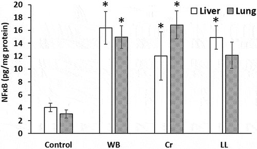 Figure 4. NFκB levels (pg/mg protein) in the liver and lung of the control, WB, Cr and LL groups. The values represent the means ± S.D. (n = 5). *p < 0.05 versus control, and @p < 0.05 versus Cr. group.