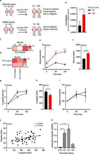 Figure 7. Fecal and serum flagellin is associated with glucose intolerance in humans.