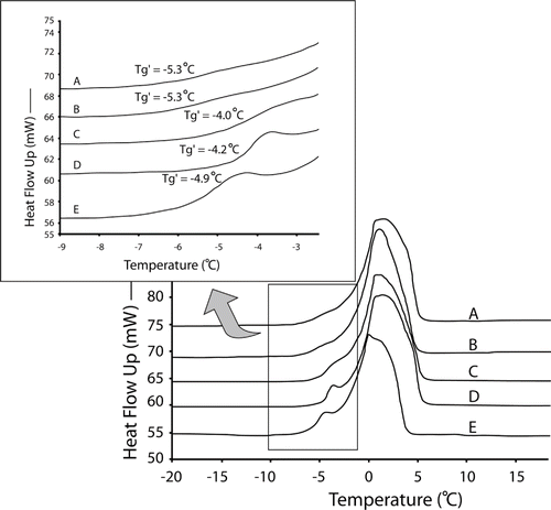 Figure 4 DSC thermograms of the cooked rice stick noodles during annealing at different temperature for 15 minutes before the determination of Tg′: (A) non – annealing, (B) −2°C, (C) −6°C (D) −8°C and (E) −10°C.