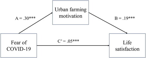Figure 2. The regression coefficients for path (A,B) were significant, representing effects of fear of COVID-19 on urban farming motivation, and effect of urban farming motivation on life satisfaction. The regression coefficient for path C′ was also significant. *meaning significance level as follow: ***p < 0.001 (2-tailed).