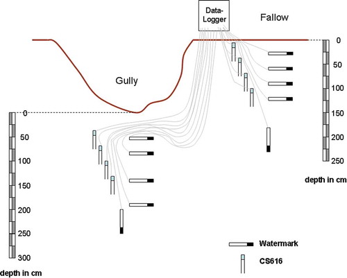 Fig. 6 Arrangement of the soil water content monitoring devices at the soil water monitoring stations.