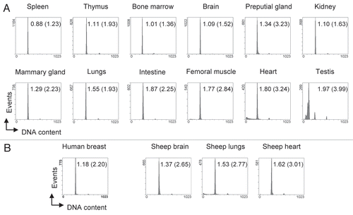 Figure 2 High resolution cell cycle profiles of tissues. (A) Cell cycle profiles obtained from tissue samples of C57/B6J mice. Apart from bone marrow, all depicted profiles were obtained from snap-frozen samples. Tissues were processed following our protocol, stained with propidium iodide and subjected to flow cytometry. Gating was carried out as shown in Figure 1B and 10,000 events (excluding doublets) were recorded. The x-axis shows the linear FL3-area signal which represents DNA content per cell. Numbers within the histograms indicate the HPCV (in brackets: CV) of the main peak, representing G0/G1 cells with a 2N DNA content. (B) Cell cycle profiles from human and sheep tissues, processed and analyzed as described in (A).