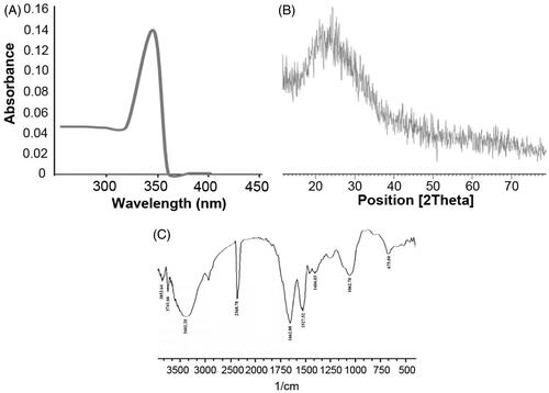 Figure 1. ZnS nanoparticles were biologically synthesized using bacterial biomass and it was characterized by various techniques. (A) The absorbance of ZnS-NPs was analysed by UV visible spectrophotometer and the peak was observed at 346 nm. (B) The crystal formation of nanoparticles was analysed by XRD. (C) The major peaks (3402.20 cm−1, 2368.78 cm−1, 1527.52 cm−1, 1662.88 cm−1, 1062.70 cm−1 and 675.04 cm−1) attained from the FTIR spectrum represents the functional groups of ZnS nanoparticles.