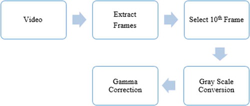 Figure 6. Preprocessing (grayscale conversion and gamma correction).