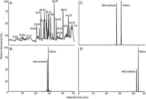 Figure 3. Ion chromatograms from the LC-MS separation of tryptic peptides from a mixture of CAn and oxidized CAn. (A) Total ion chromatogram of tryptic peptides showing signals and retention times from all detected peptides. (B) XIC of m/z 673.86 and 681.85 (±0.1) corresponding to [M + 2H]2+ ions of native and oxidized EPISVSSQQMLK. (C) XIC of m/z 700.30 and 705.64 (±0.1) corresponding to [M + 3H]3+ ions of native and oxidized MVNNGHSFNVEYDDSQDK. (D) XIC of m/z 951.50 and 956.83 (±0.1) corresponding to [M + 3H]3+ ions of native and oxidized TLNFNAEGEPELLMLANWRPAQPLK. Specificity is gained by applying XIC mass filters and approximate quantities of each form may be estimated by comparing the relative peak heights or areas.
