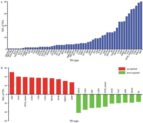 Figure 8. Transcription factor (TF) analysis. (a) Number and types of transcription factors (TF). (b) Transcription factor (TF) changes in drought-treated P. lactiflora and the Control.