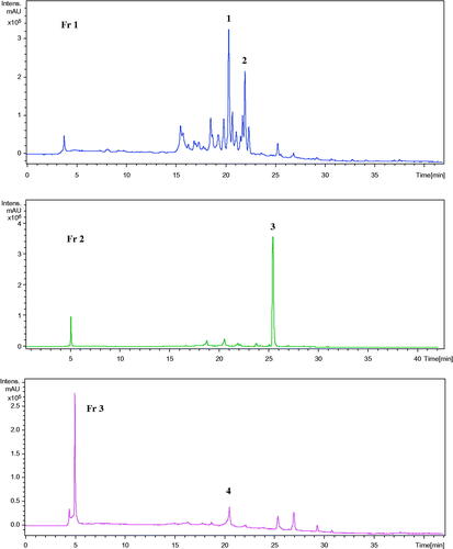 Figure 1. Chromatographic profiles at 330 nm of the fractions (Fr2, Fr3, and Fr4) of methanol extract. The numeration is that of Table 2.