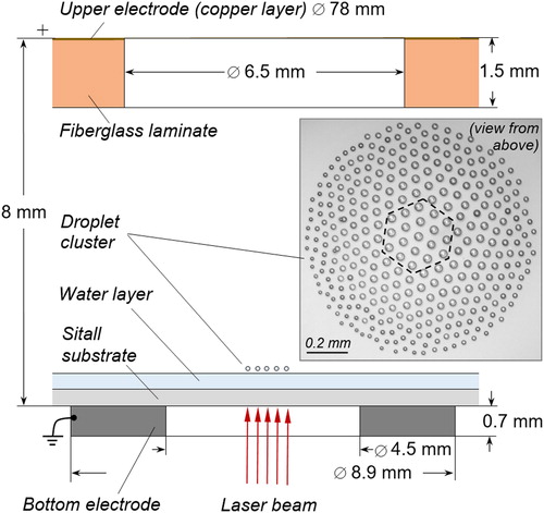 Figure 1. Schematics of a side view of a laboratory set-up with top-view photograph of a droplet cluster (dashed line shows the central group in the cluster used to measure the average growth rate).