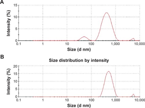 Figure 4 Size distribution analysis of GO and RES-rGO.Notes: Aqueous dispersions of GO (A) and RES-rGO (B) at 200 μg/mL were characterized by dynamic light scattering analysis at the scattering angle θ =90° using a particle size analyzer. The data show the average values from triplicate measurements.Abbreviations: GO, graphene oxide; RES-rGO, resveratrol-reduced GO.