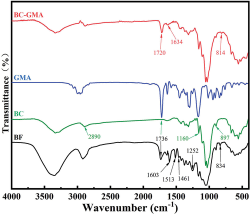 Figure 1. FT-IR spectra of BF, BC, GMA, and BC-GMA.