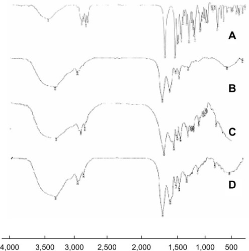 Figure 3 Fourier transform infrared spectroscopy spectra of (A) brucine, (B) brucine-free bovine serum albumin nanoparticles, (C) physical mixture of brucine and bovine serum albumin nanoparticles, and (D) brucine-loaded bovine serum albumin nanoparticles.