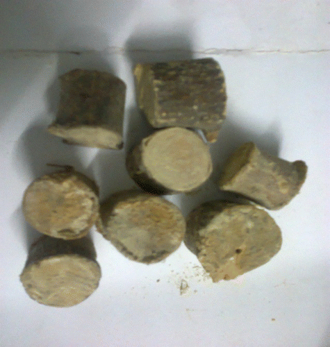 Figure 1 Photographic view of the sample of wood pieces.